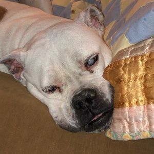 Meet your Posher, Jodi